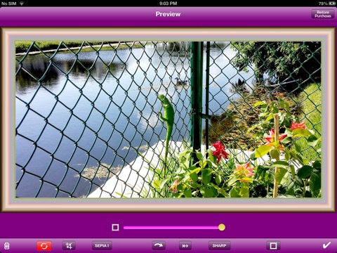 PhotoScan PDF Pro HD screenshot 3