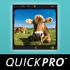 Composition Essentials from QuickPro