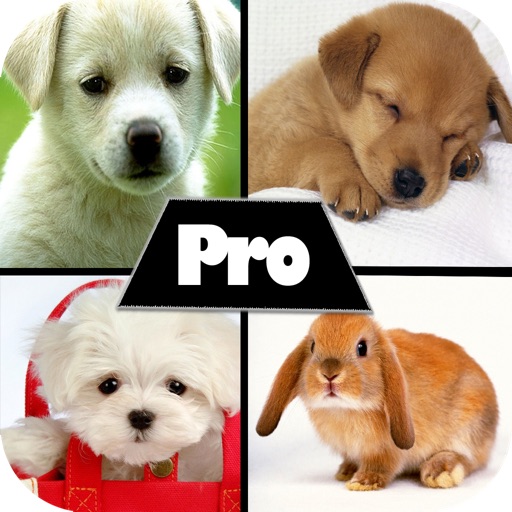 Cute HD Wallpapers Pro icon