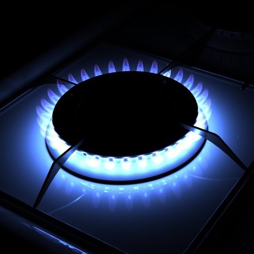 Kitchen Gas Flame icon