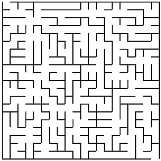 Maze Game Icon