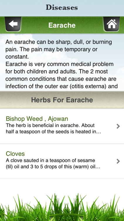 Herbs that Cures screenshot-3