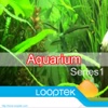 Aquarium by LoopTek