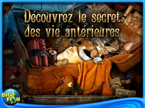 Reincarnations: Uncover the Past Collector's Edition HD screenshot 3