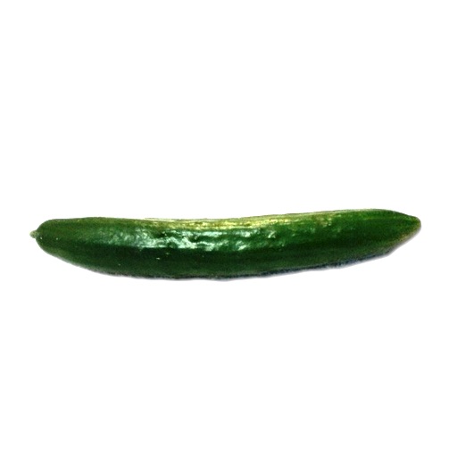 Cucumber Cutter iOS App