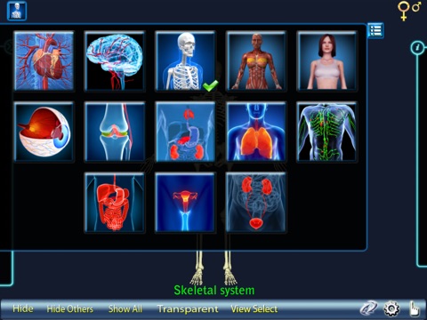 Human Body 3D for iPad screenshot 3
