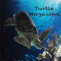 Turtle Magazine  PC 용