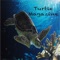 Turtle Magazine covers turtles their habitat and their stories throughout history
