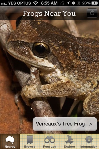 Frogs Field Guide screenshot 2