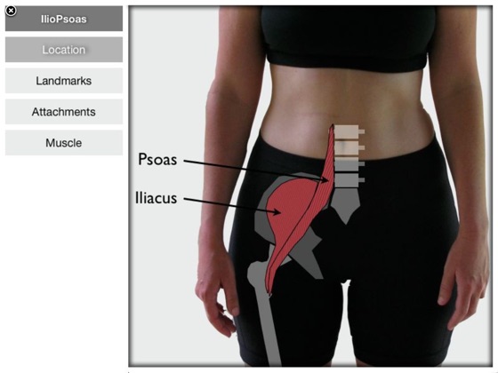 ‎Trigger Point Therapy for the IlioPsoas on Apple Books