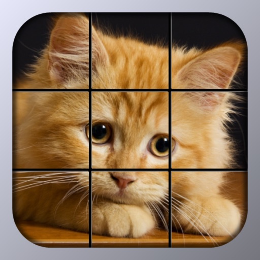 Kitty Tiles - Cat Puzzle iOS App