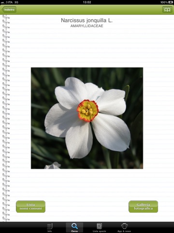 Cercapiante - Immagini, nomi scientifici, comuni e dialettali di piante ora anche per iPad screenshot 4
