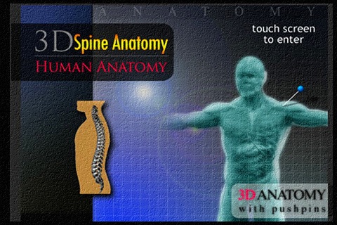 Anatomy Spine 3D screenshot 2