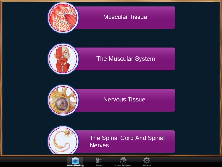 Anatomy and Physiology
