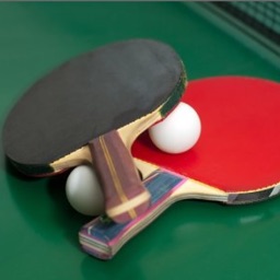 Table Tennis Pro Free