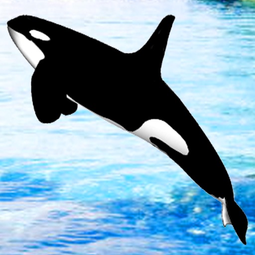 Whale Hoops - Orca hoop jumping game for whale lovers Icon