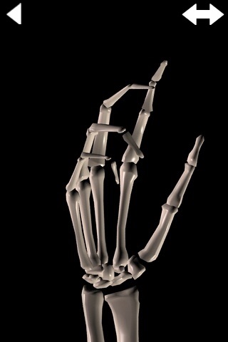 360 Anatomy for Artists - The Hand screenshot 3