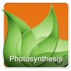 Keywords English: Photosynthesis (English Only)