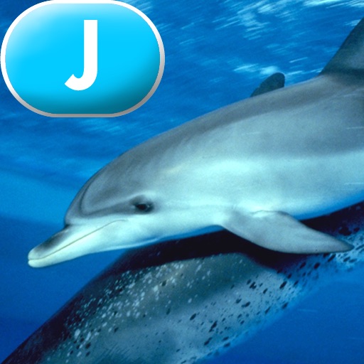 Ocean Animals - LAZ Reader [Level J–first grade] icon