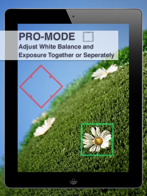 Professional Camera for iPad