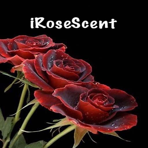 iRose Scent icon