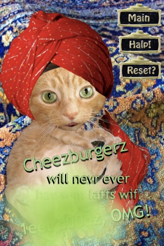 Swami Paws the LOLcat Fortune Teller screenshot 4