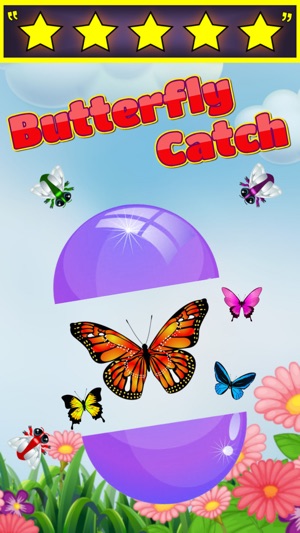 Butterfly Catch - Super Bug Catching Gam