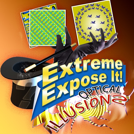 Optical Illusions! : Extreme Expose It!