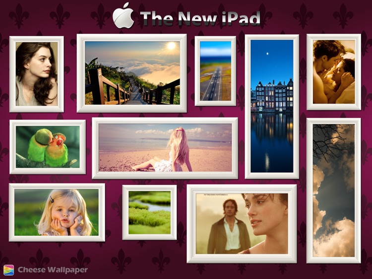 Cheese HD Wallpapers for The new iPad