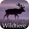 Wildtiere Europa