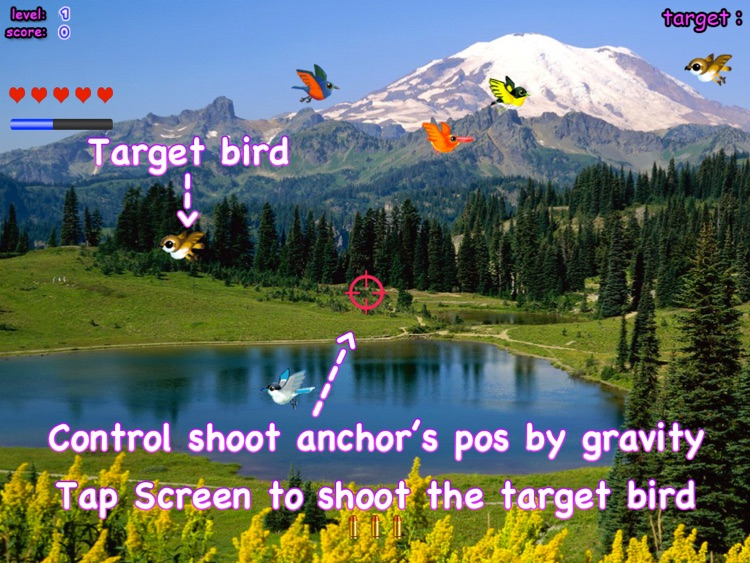 A Bird Hunt HD