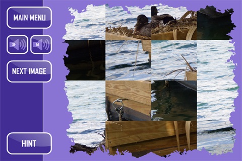 Sixteen Squares screenshot 2