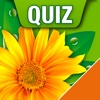 Heilpflanzen Quiz