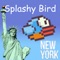 Splashy Bird NY