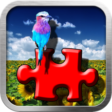 Activities of Flickr Photo Viewer And Puzzle Maker