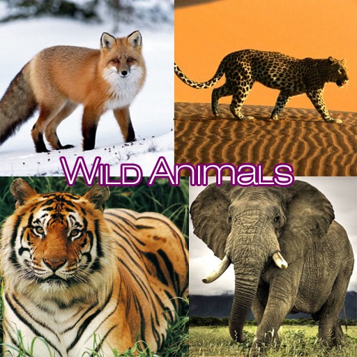 Animals in the Wild with Voice Recording by Tidels icon