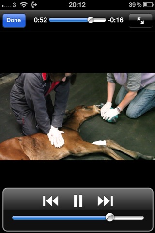 Foal CPR screenshot 2