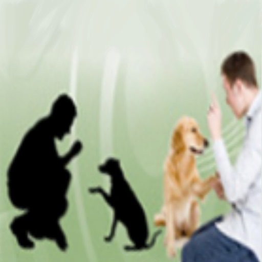 Dog Obedience - Train Your Dog To Stop Behavior Problems icon