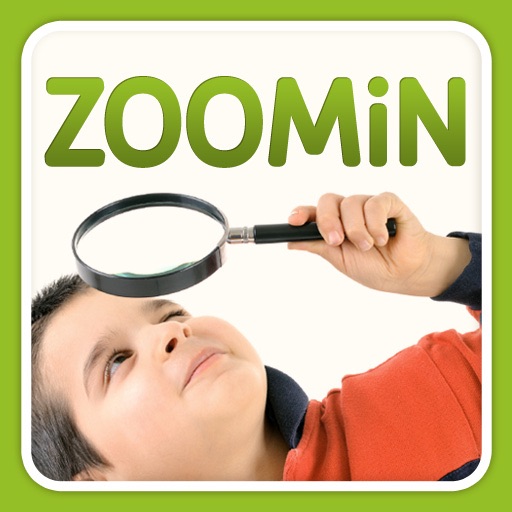 ZOOMiN Game icon