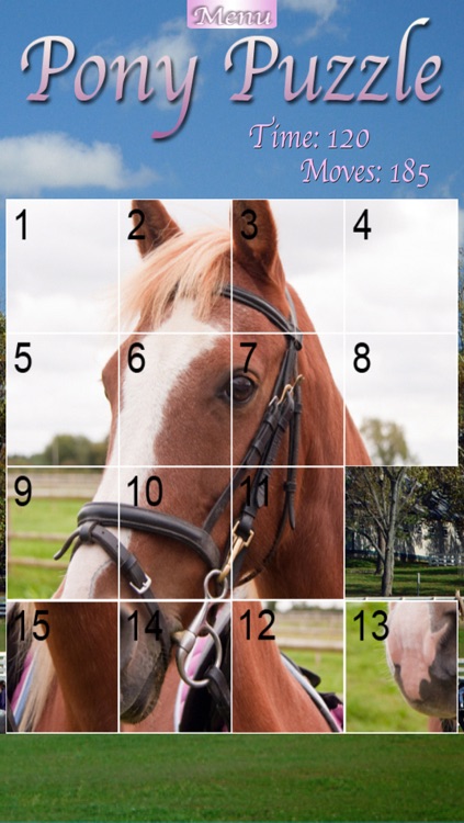 Pony Puzzle
