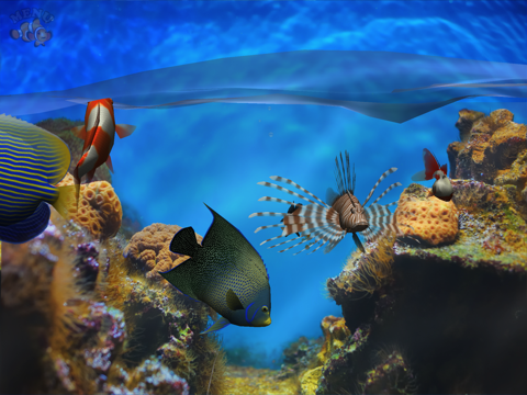 Fish Fingers! 3D Interactive Aquarium screenshot