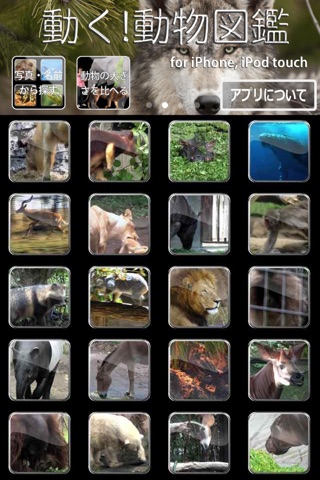動く！動物図鑑 mini screenshot1