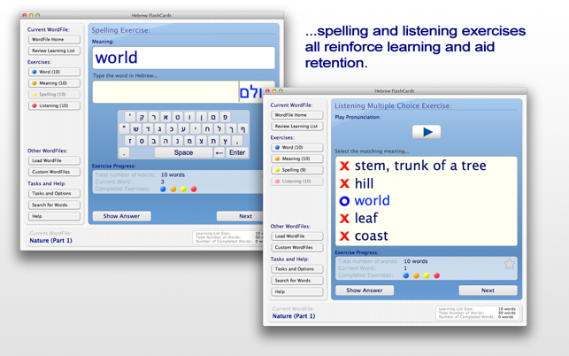 Hebrew FlashCards BASIC(圖4)-速報App