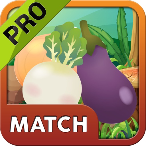 Garden Veggie Match PRO Cool Puzzle Game icon