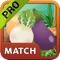 Garden Veggie Match PRO Cool Puzzle Game