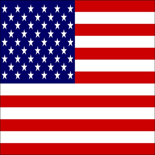 USA Flags