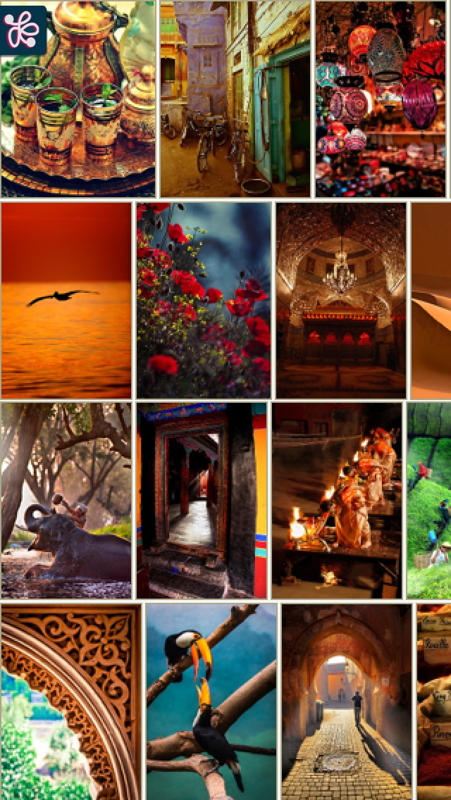 TumbleOn - Photo view... screenshot1