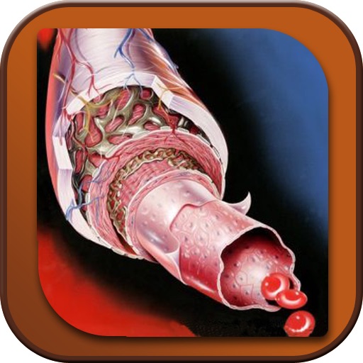 Artery Anatomy icon