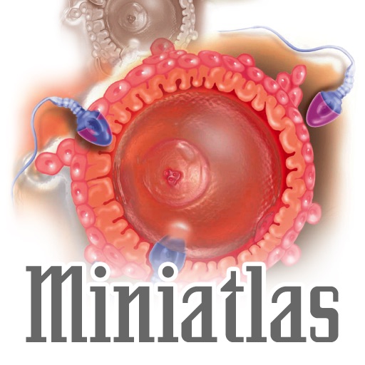 Miniatlas Sexuality