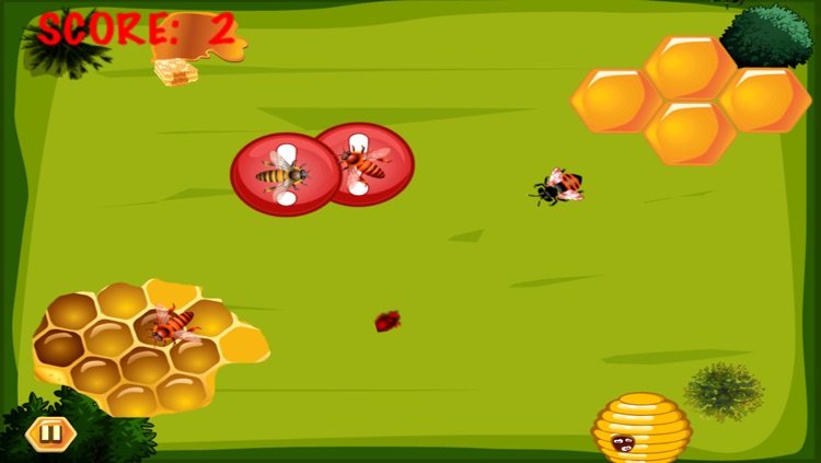 Honey Bee Leader Adventure - An Awesome Feeding Frenzy Challenge Free